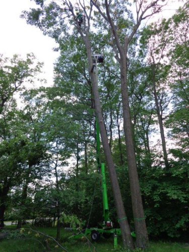 Abattage, lagage et taille d'arbre  Drummondville - Arbor lagage MG inc.